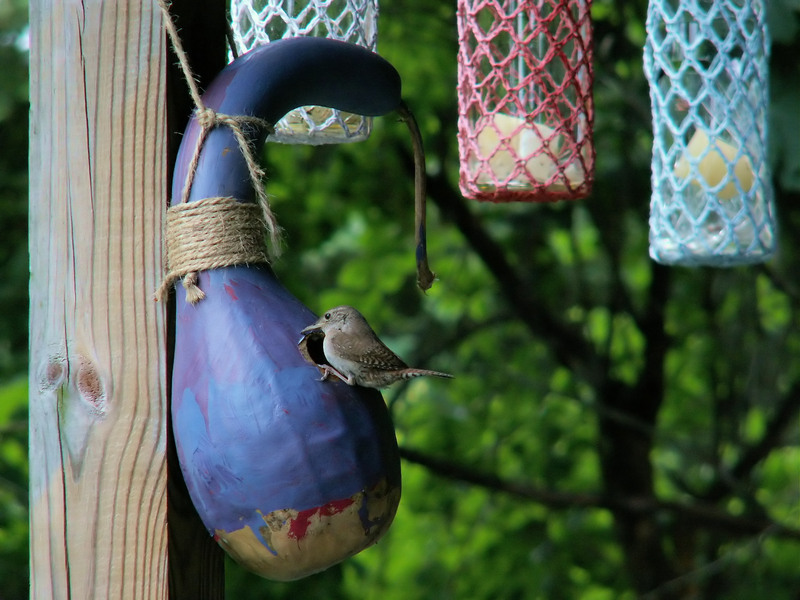 Effective Ways to Handle and Dispose of PPE Waste